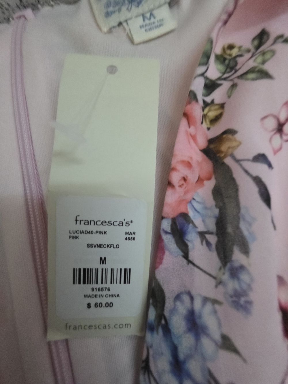 Francesca's Collections Pink Floral V-Neck Maxi Dress